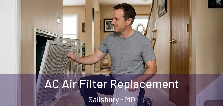  AC Air Filter Replacement Salisbury - MD