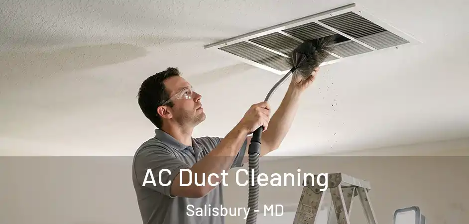  AC Duct Cleaning Salisbury - MD