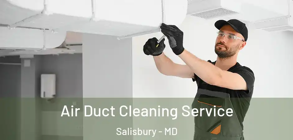 Air Duct Cleaning Service Salisbury - MD