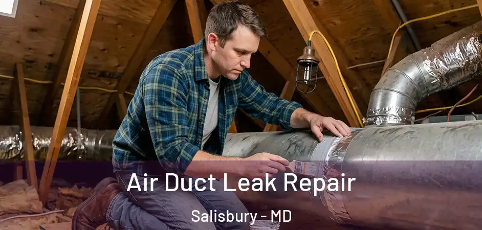  Air Duct Leak Repair Salisbury - MD