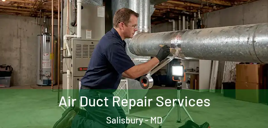  Air Duct Repair Services Salisbury - MD
