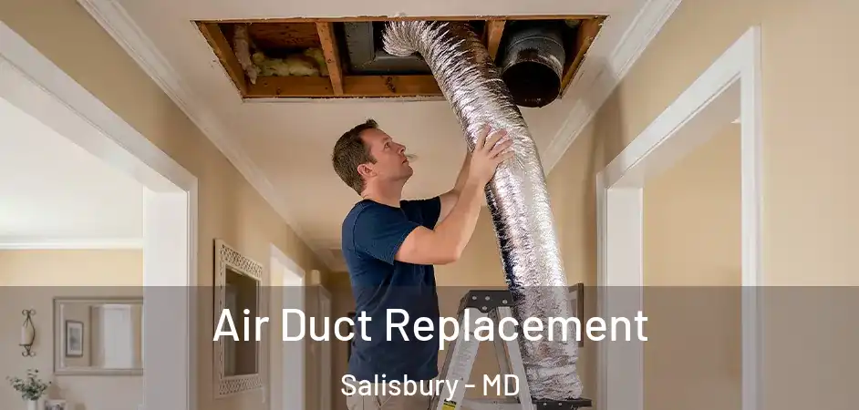  Air Duct Replacement Salisbury - MD