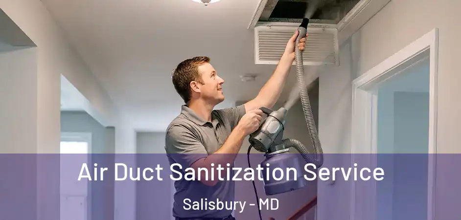  Air Duct Sanitization Service Salisbury - MD