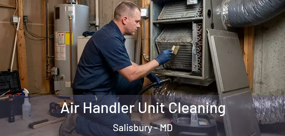 Air Handler Unit Cleaning Salisbury - MD