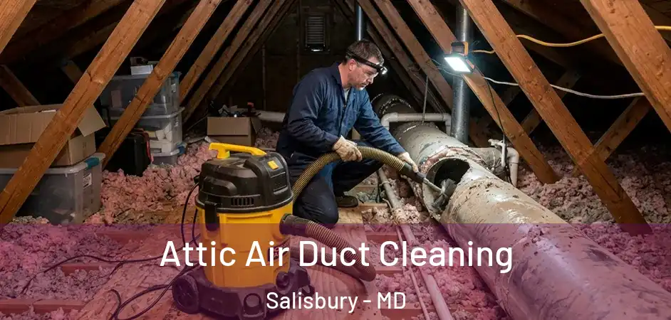Attic Air Duct Cleaning Salisbury - MD