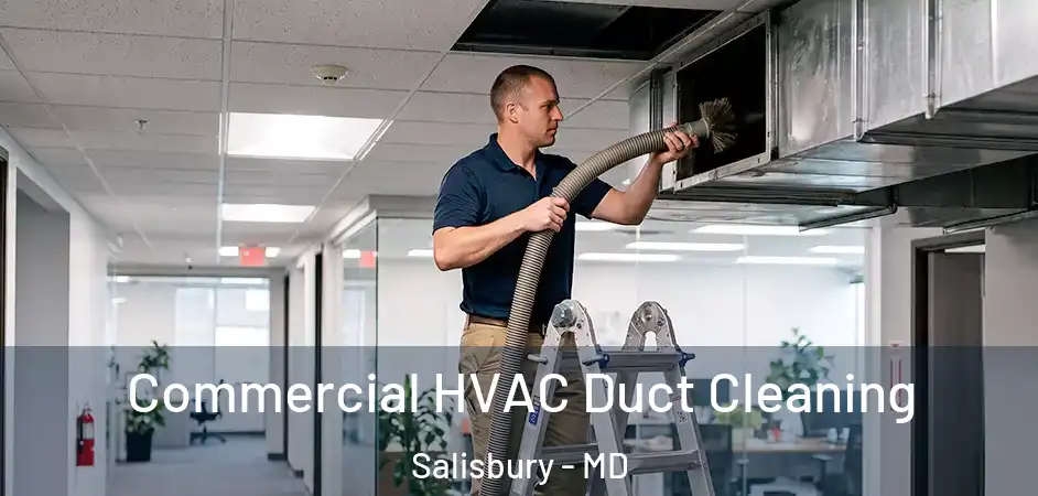 Commercial HVAC Duct Cleaning Salisbury - MD