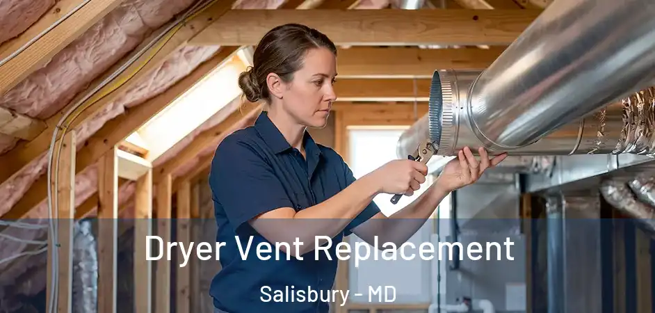 Dryer Vent Replacement Salisbury - MD