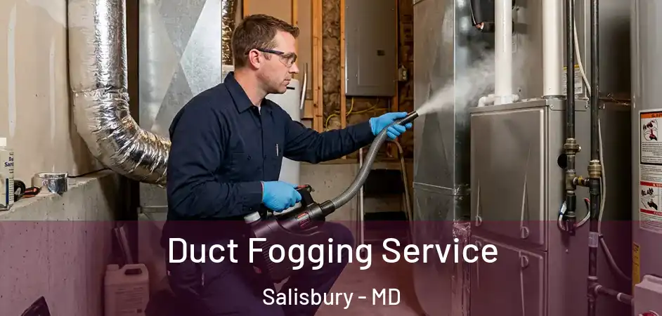  Duct Fogging Service Salisbury - MD