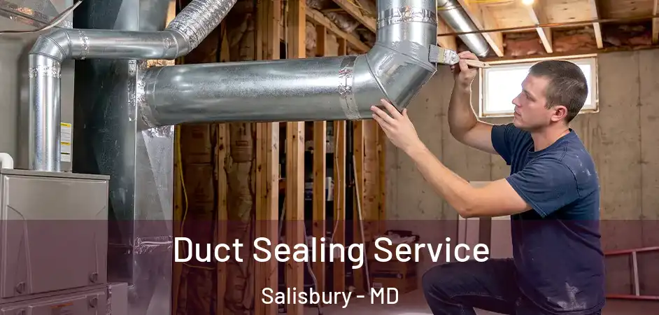  Duct Sealing Service Salisbury - MD