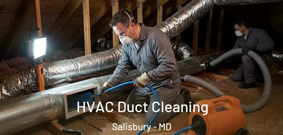 HVAC Duct Cleaning Salisbury - MD