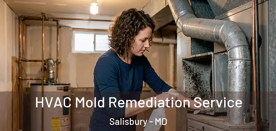  HVAC Mold Remediation Service Salisbury - MD