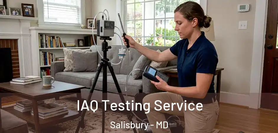  IAQ Testing Service Salisbury - MD
