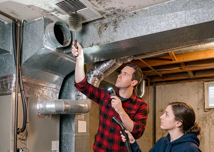 Premier HVAC Mold Remediation Company in Salisbury