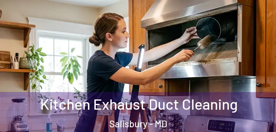  Kitchen Exhaust Duct Cleaning Salisbury - MD