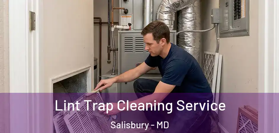 Lint Trap Cleaning Service Salisbury - MD