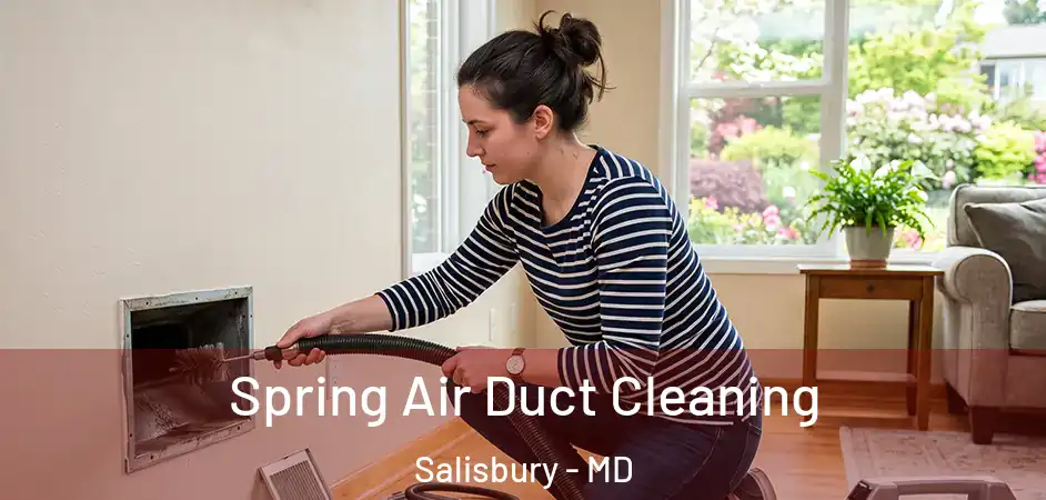 Spring Air Duct Cleaning Salisbury - MD