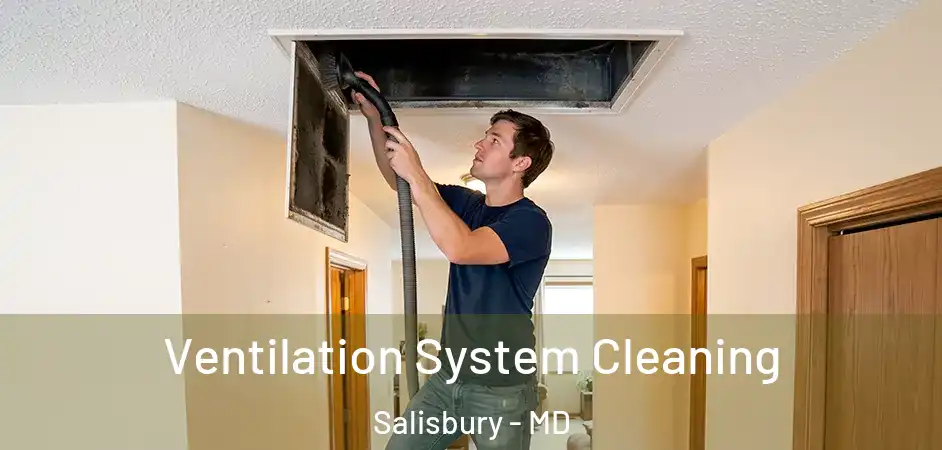 Ventilation System Cleaning Salisbury - MD
