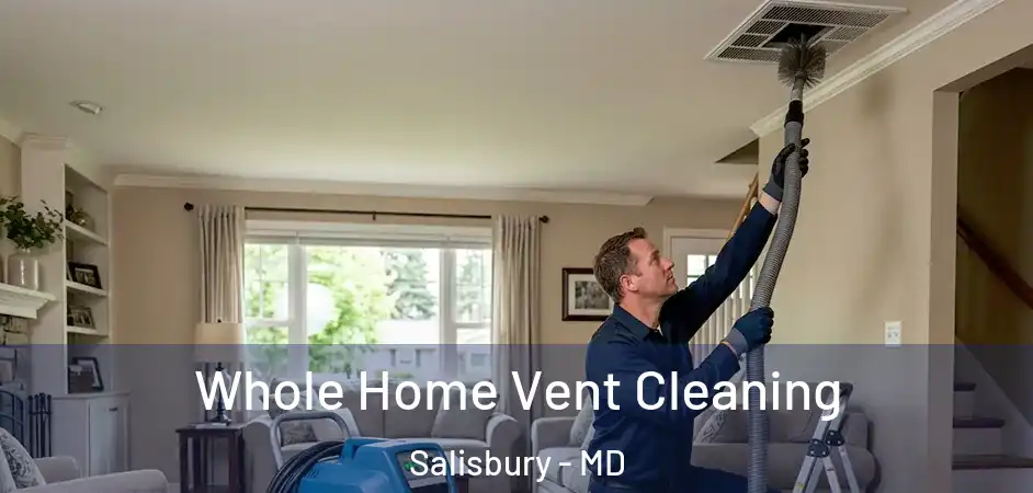 Whole Home Vent Cleaning Salisbury - MD